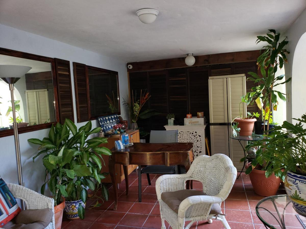 Andalucia Guest House San Juan Ngoại thất bức ảnh