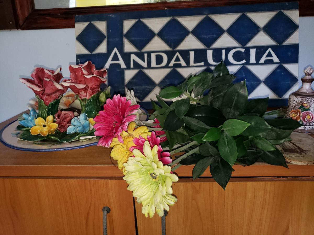 Andalucia Guest House San Juan Ngoại thất bức ảnh