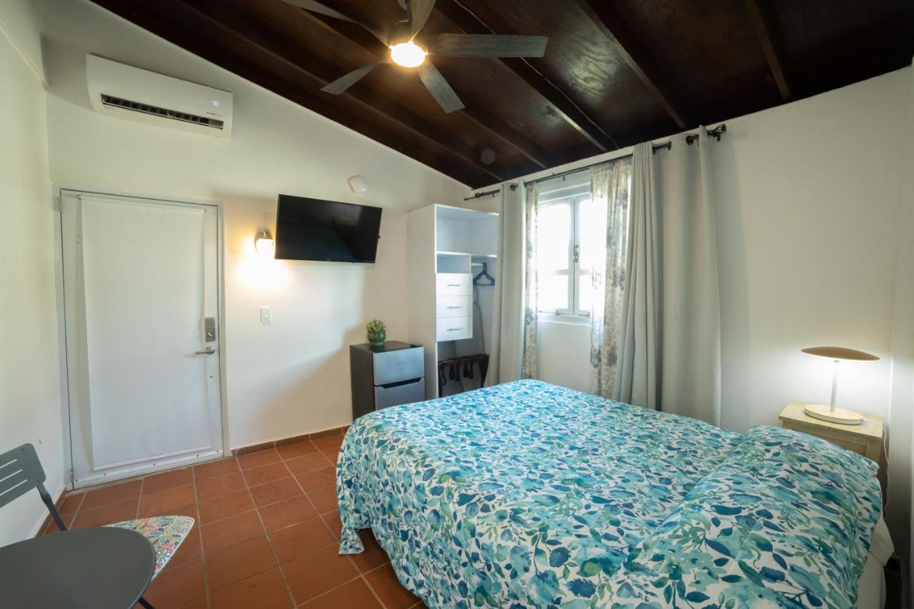 Andalucia Guest House San Juan Ngoại thất bức ảnh