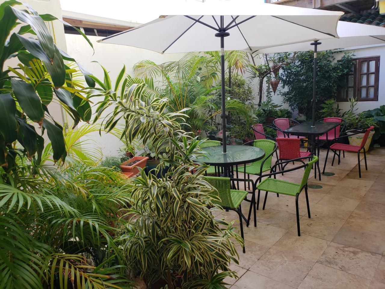 Andalucia Guest House San Juan Ngoại thất bức ảnh