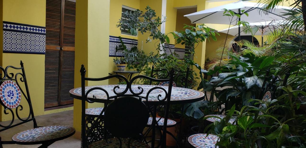 Andalucia Guest House San Juan Ngoại thất bức ảnh